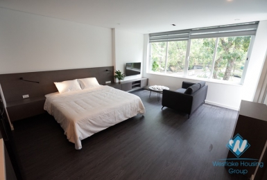 Bright studio for rent in Pho Duc Chinh street, Ba Dinh, Ha Noi